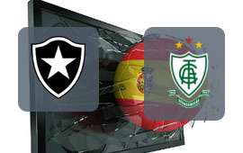 Botafogo RJ - America MG