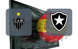 Atletico MG - Botafogo RJ
