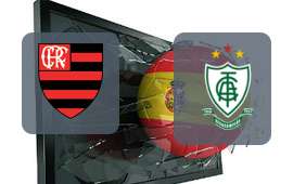 Flamengo - America MG